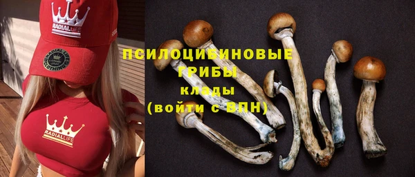 мяу мяу кристалл Алзамай