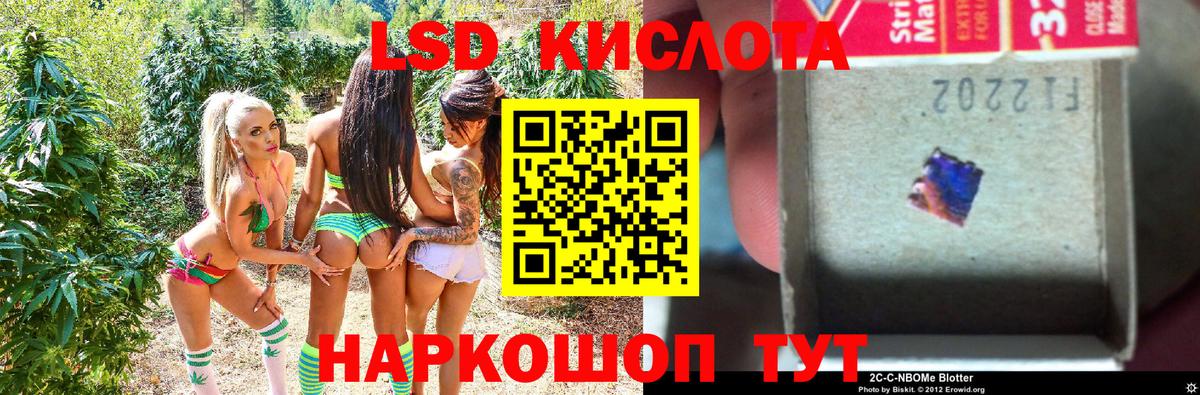 Сунжа  Наркотические марки  Вход с VPN  Марки N-bome 1500мкг  Марки N-bome 1500мкг 