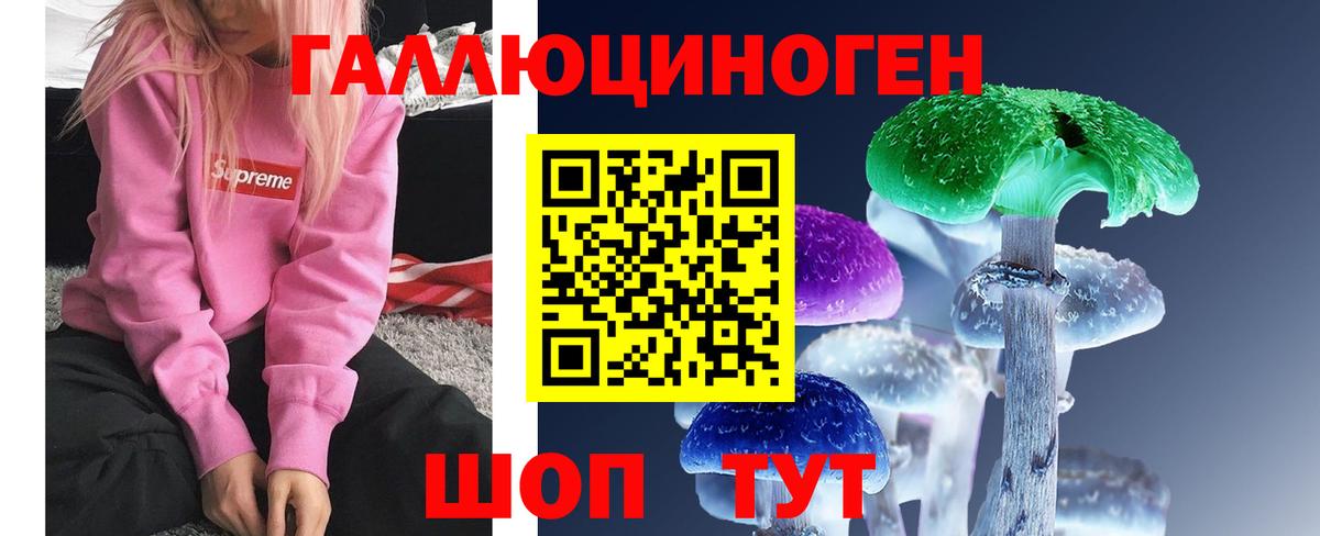 Галлюциногенные грибы Cubensis  Вход с VPN  Сунжа  Псилоцибиновые грибы мицелий 