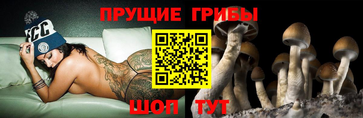 Псилоцибиновые грибы прущие грибы Сунжа